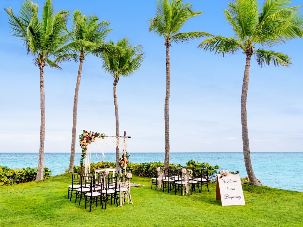Beach wedding under palm trees