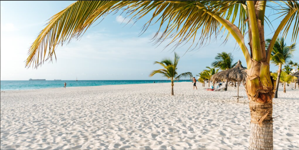 Guest-friendly beach scene in Aruba